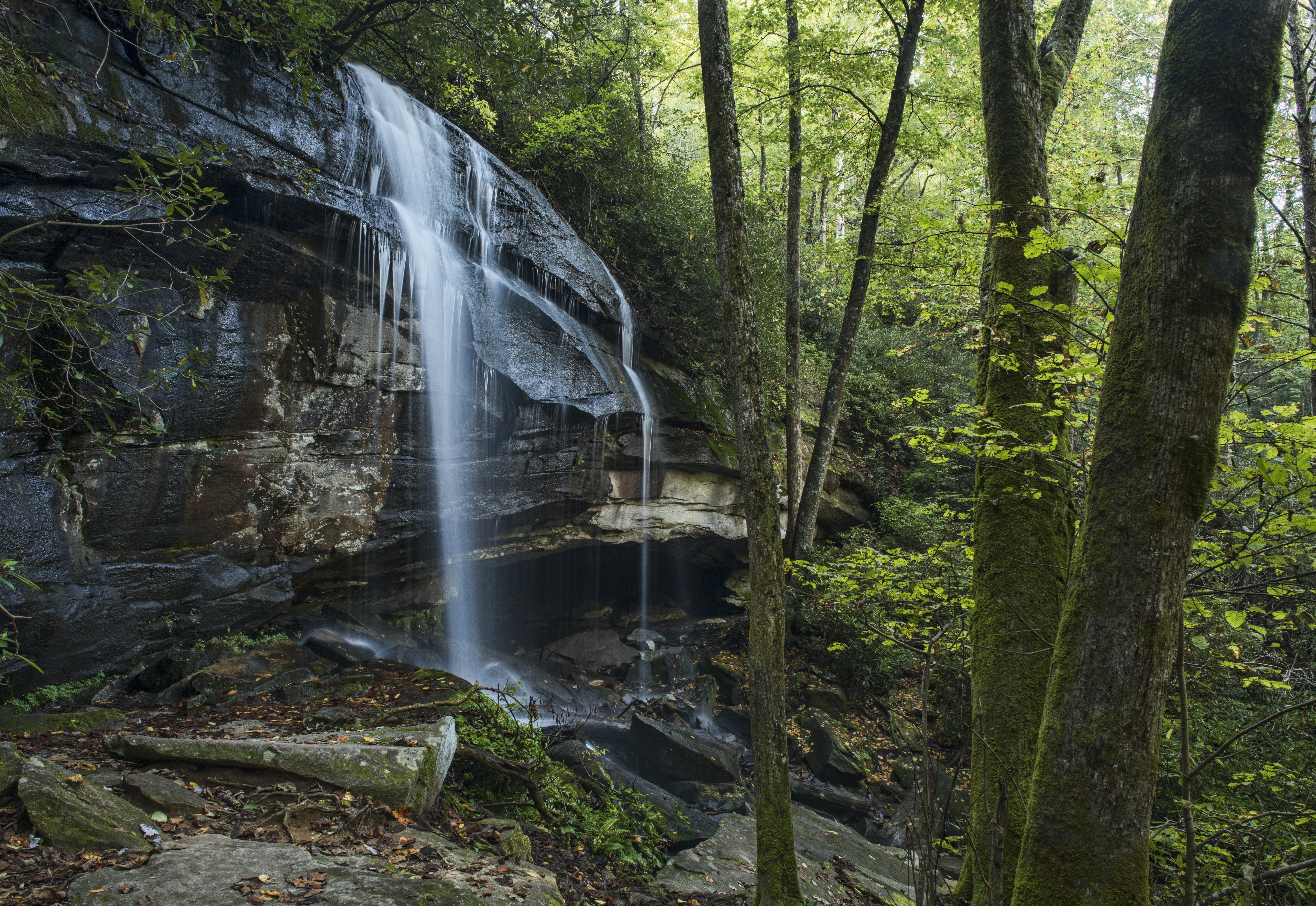 SuperOneDatFall2018-104