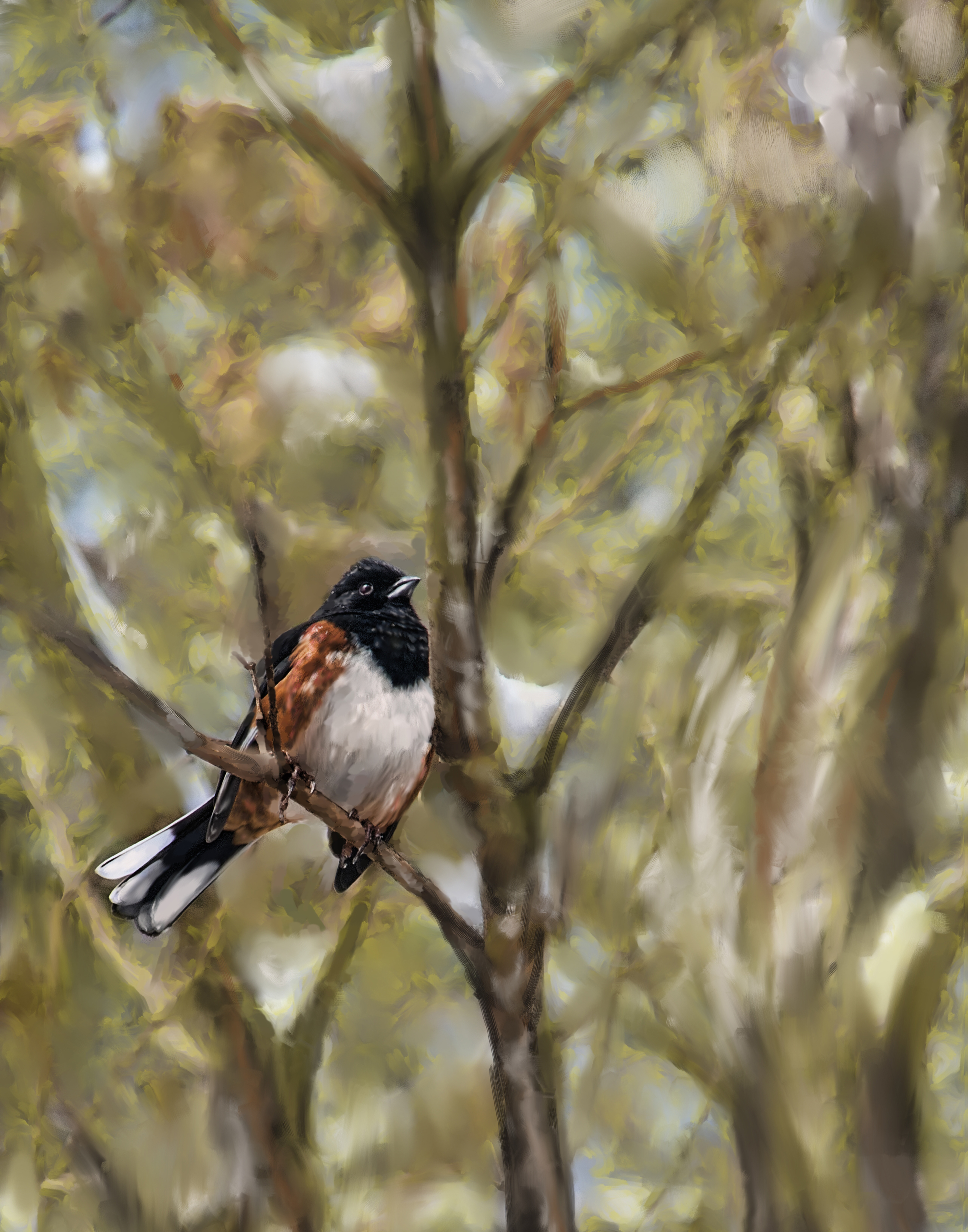 winterbird2_201516x20